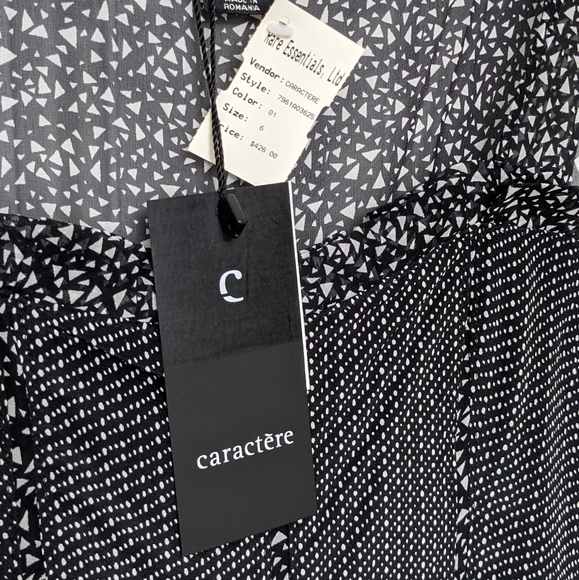 NWT Silk Caractère Silk Print Dress - Picture 10 of 16